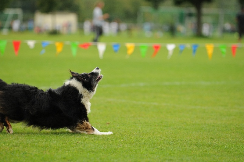 Image 588 of 855  -  178 kB