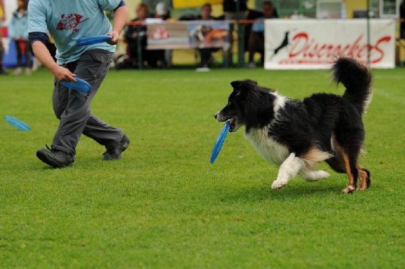 Image 589 of 855  -  228 kB