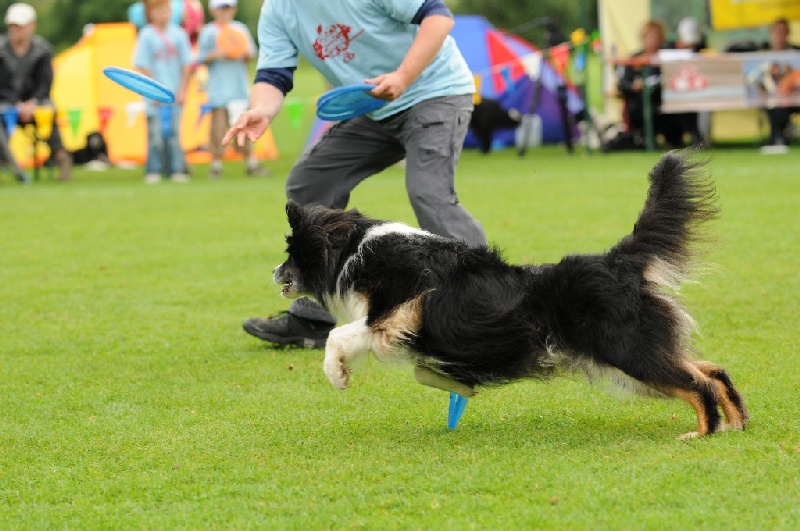 Image 590 of 855  -  227 kB