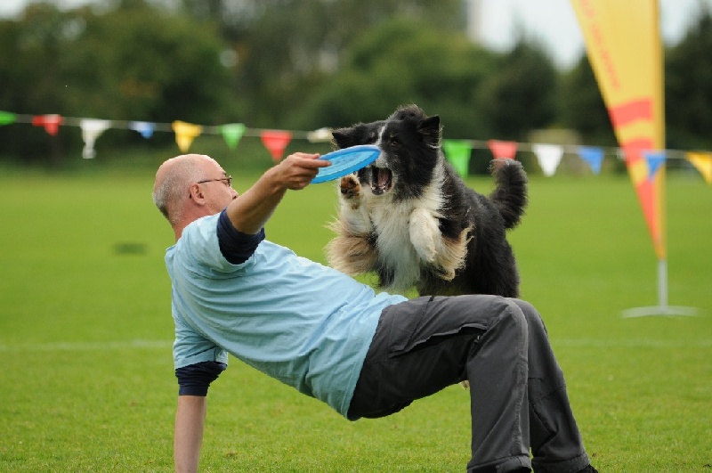 Image 593 of 855  -  197 kB