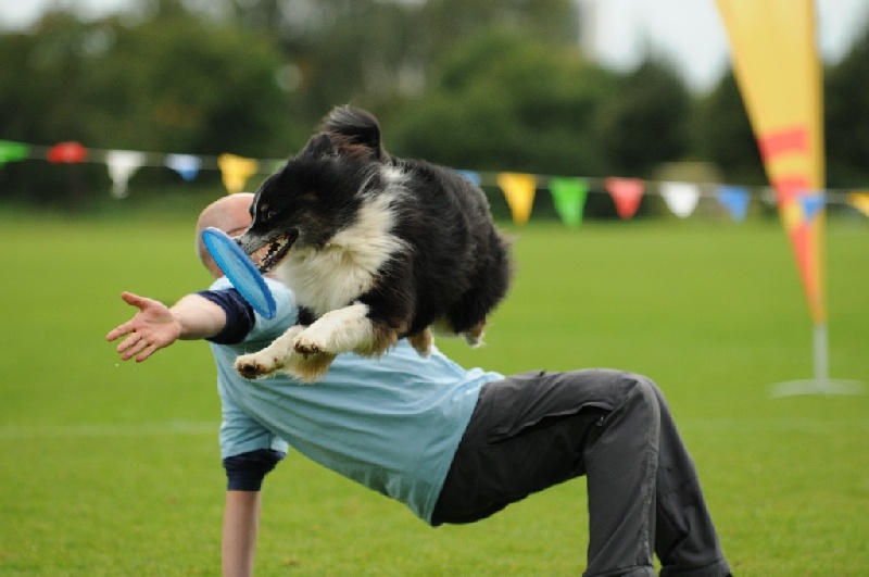 Image 594 of 855  -  173 kB