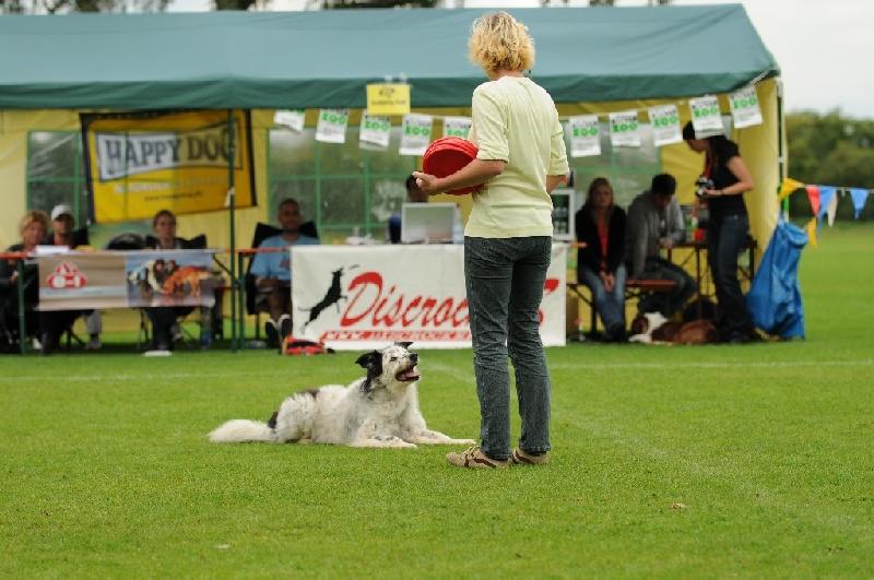 Image 595 of 855  -  232 kB