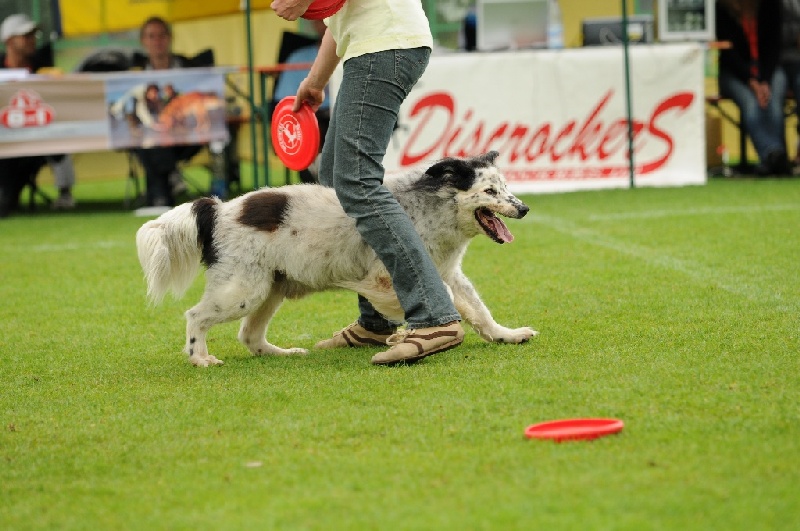 Image 596 of 855  -  220 kB