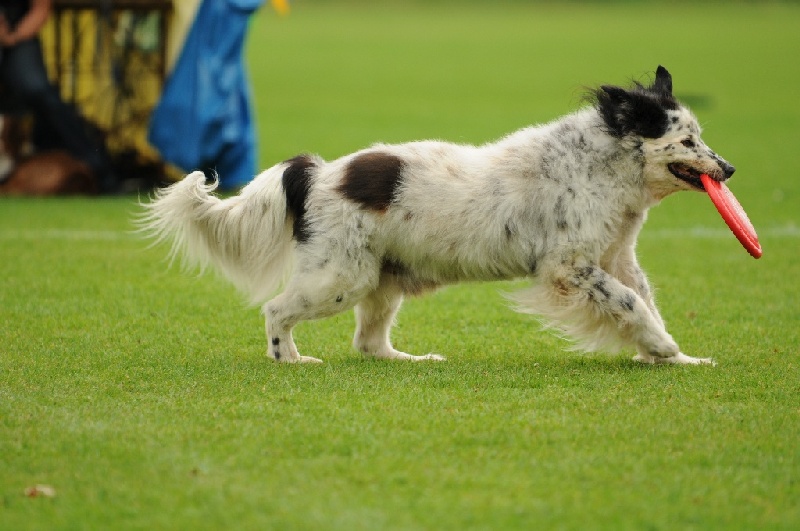 Image 597 of 855  -  203 kB