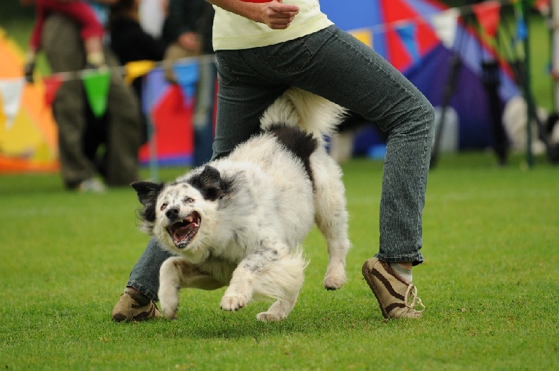 Image 598 of 855  -  221 kB