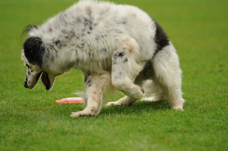 Image 600 of 855  -  208 kB