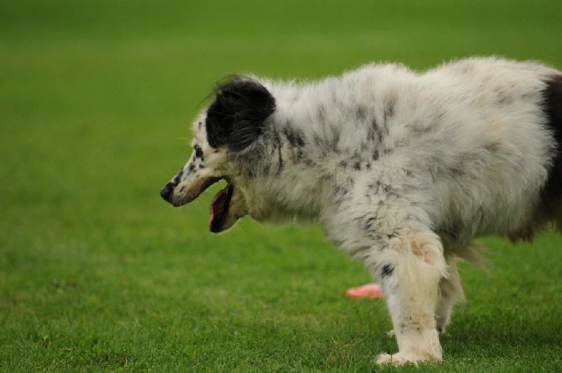 Image 601 of 855  -  195 kB