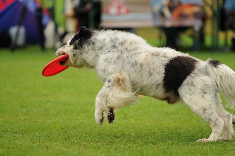 Image 602 of 855  -  213 kB