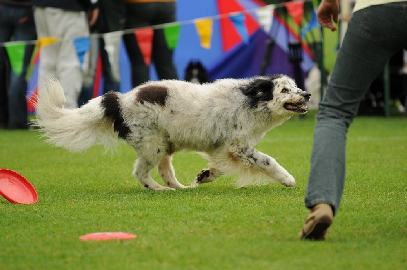 Image 603 of 855  -  208 kB