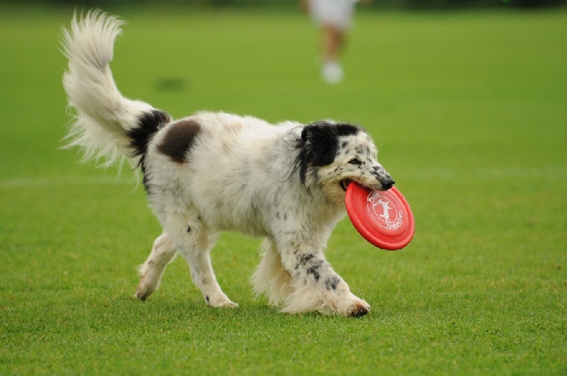 Image 604 of 855  -  191 kB