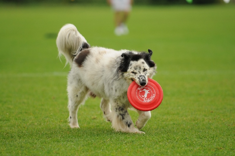 Image 605 of 855  -  188 kB