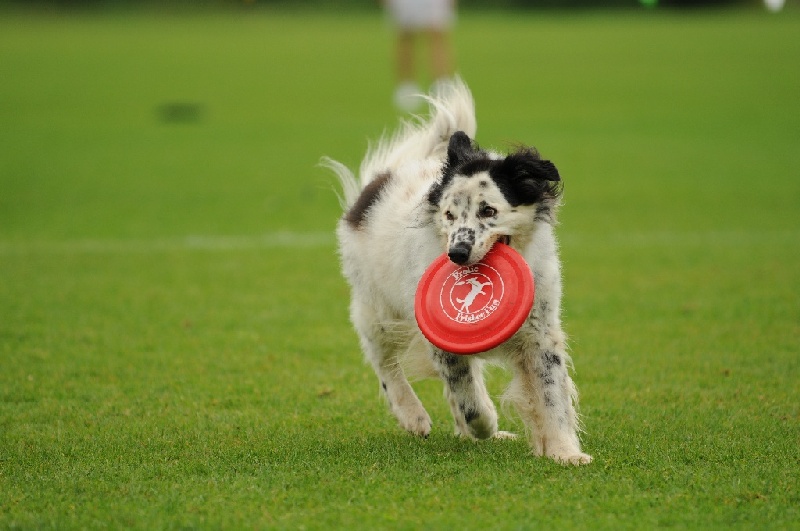 Image 606 of 855  -  187 kB