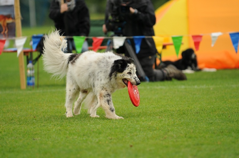 Image 607 of 855  -  199 kB