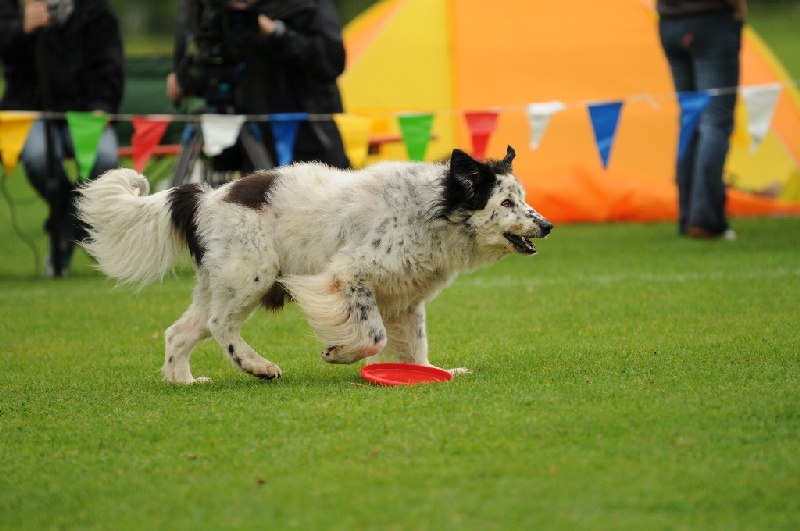 Image 608 of 855  -  199 kB