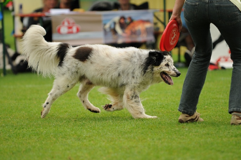 Image 609 of 855  -  217 kB