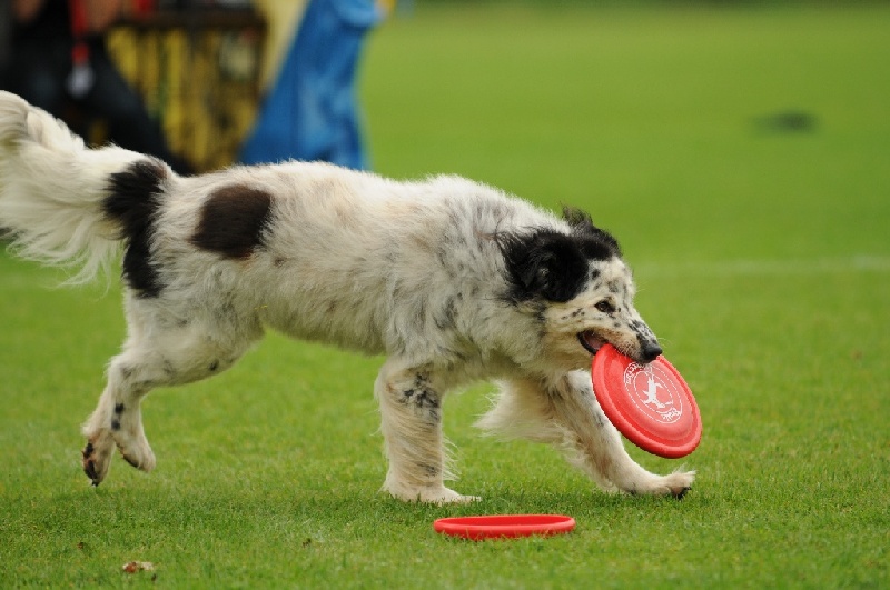 Image 610 of 855  -  202 kB