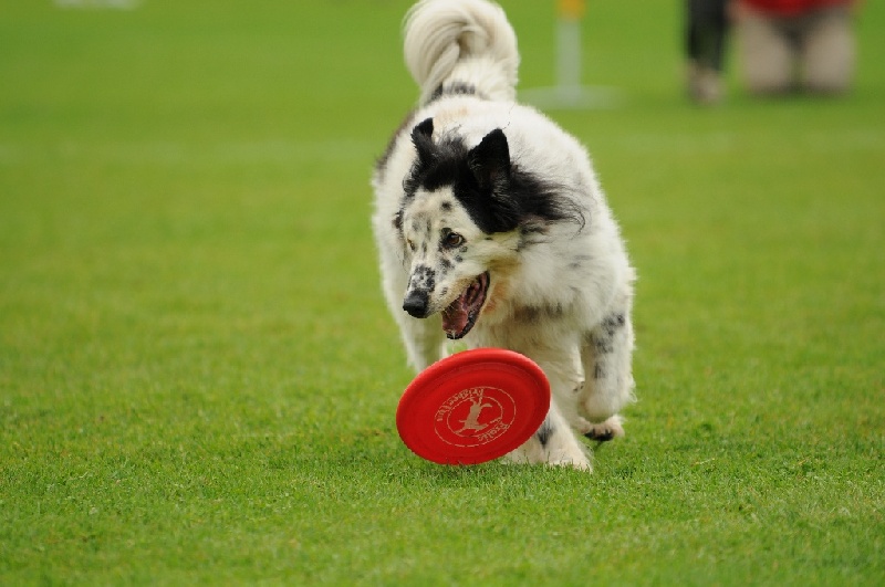 Image 612 of 855  -  189 kB