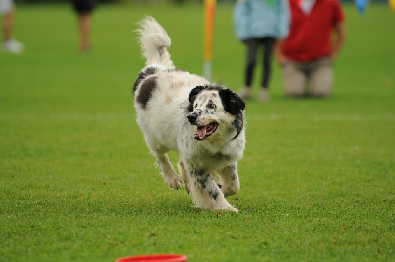 Image 613 of 855  -  188 kB