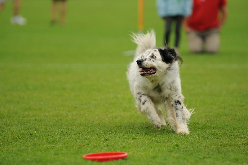 Image 614 of 855  -  185 kB