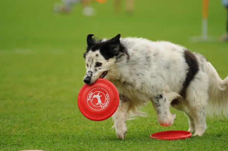 Image 615 of 855  -  199 kB