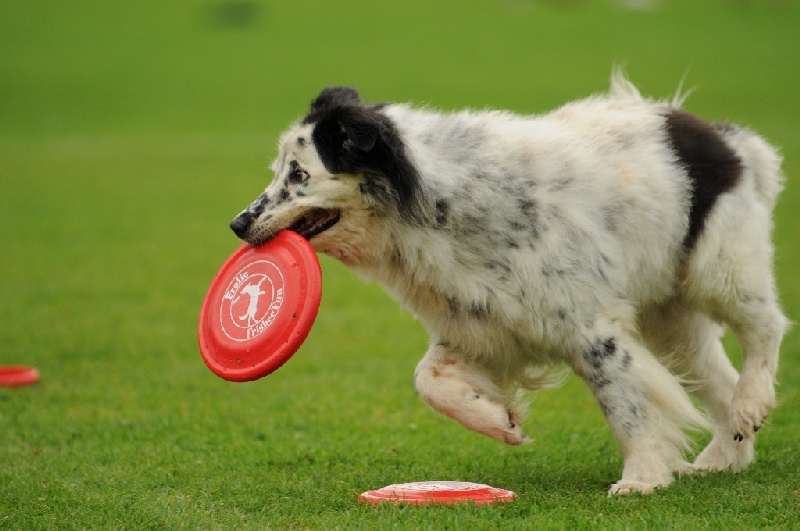 Image 616 of 855  -  193 kB