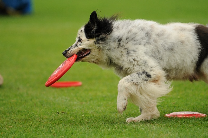 Image 617 of 855  -  205 kB