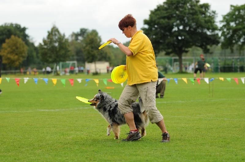 Image 618 of 855  -  217 kB