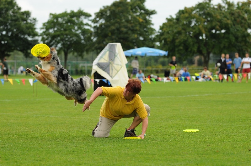 Image 619 of 855  -  231 kB