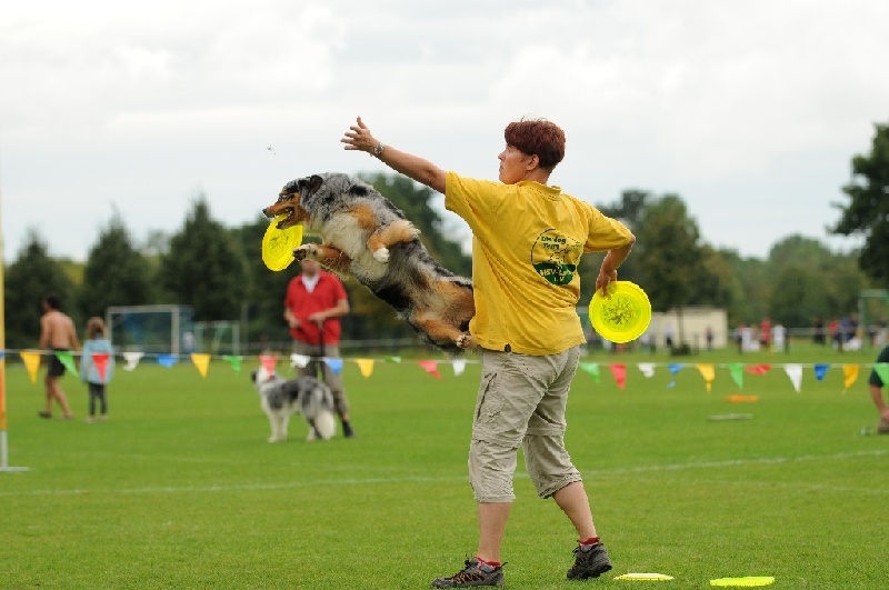 Image 620 of 855  -  189 kB