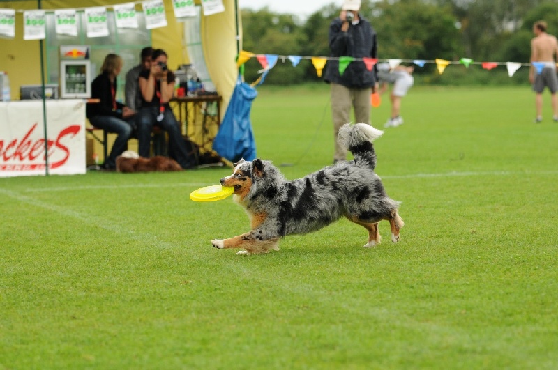 Image 622 of 855  -  215 kB