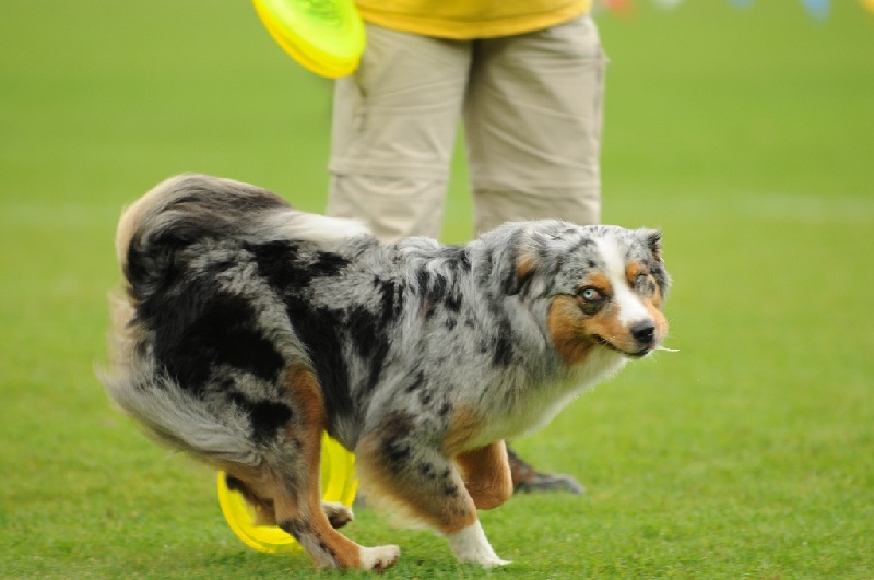 Image 623 of 855  -  176 kB