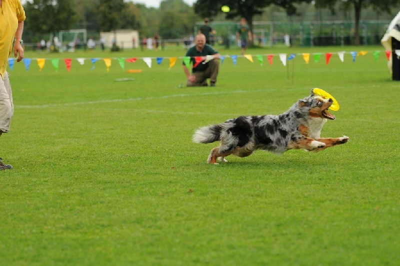 Image 624 of 855  -  205 kB