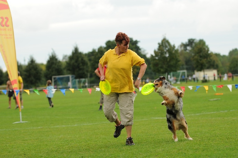 Image 625 of 855  -  197 kB