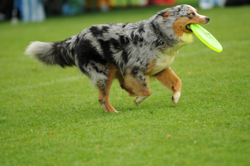 Image 626 of 855  -  197 kB