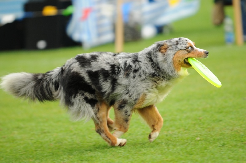 Image 627 of 855  -  188 kB