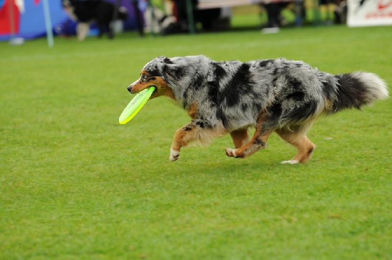 Image 630 of 855  -  196 kB