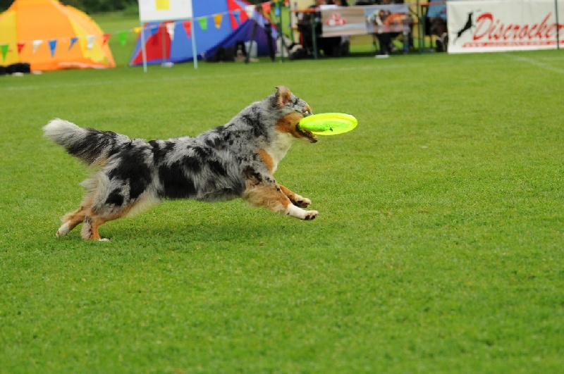 Image 631 of 855  -  226 kB