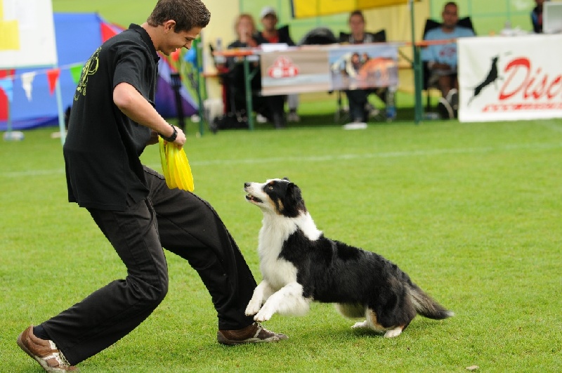 Image 634 of 855  -  224 kB