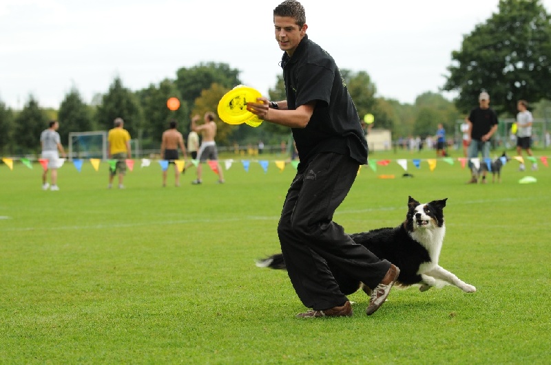 Image 635 of 855  -  210 kB