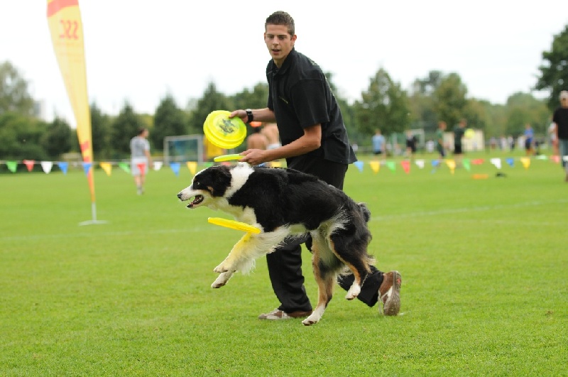 Image 636 of 855  -  196 kB