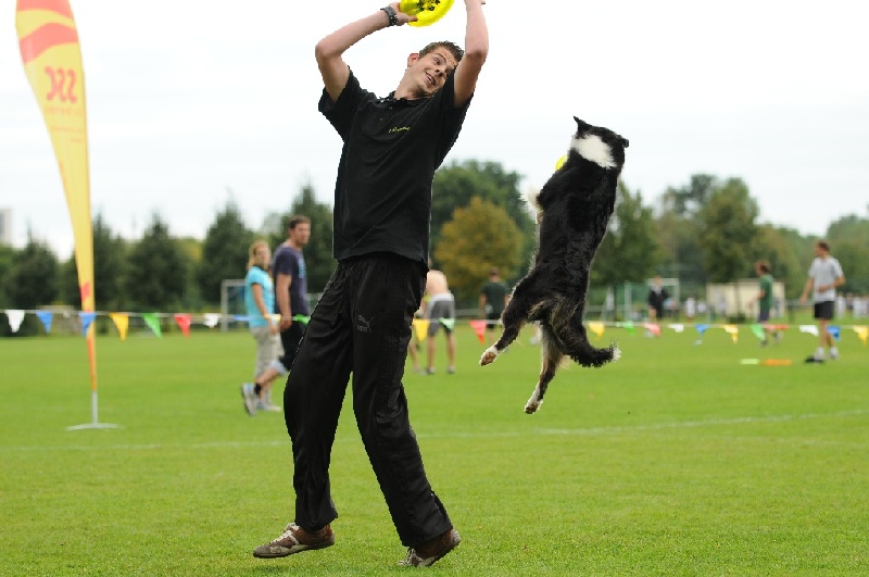 Image 637 of 855  -  187 kB