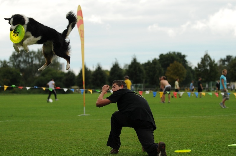 Image 638 of 855  -  186 kB