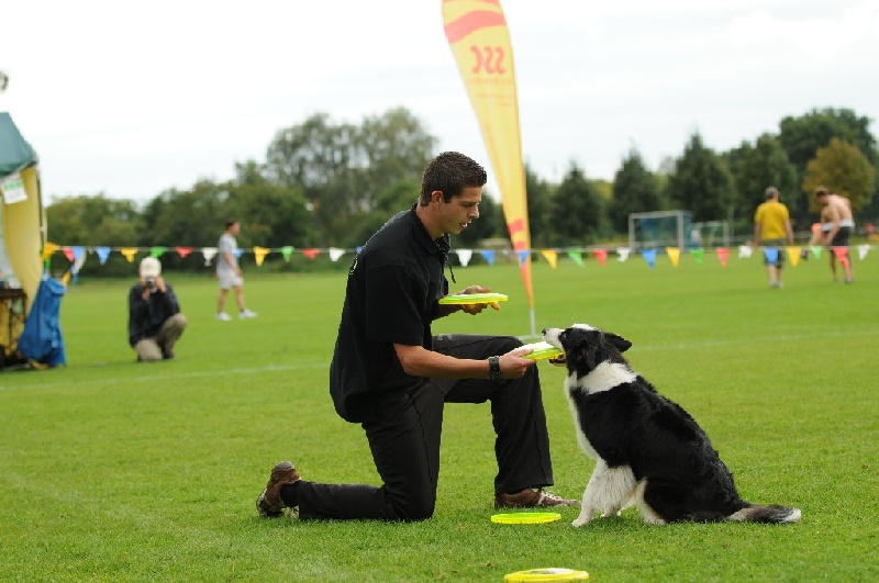 Image 639 of 855  -  200 kB