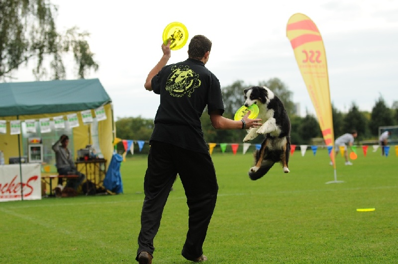 Image 640 of 855  -  194 kB