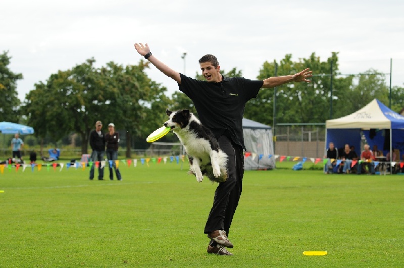 Image 641 of 855  -  209 kB