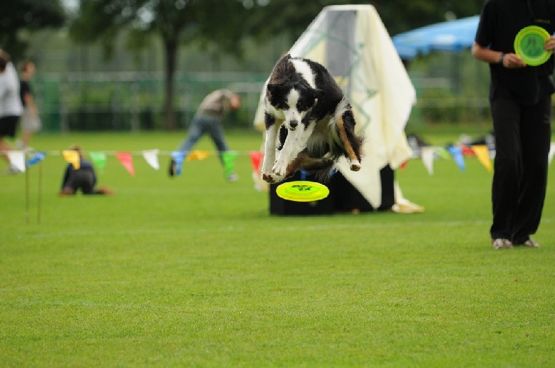 Image 642 of 855  -  199 kB