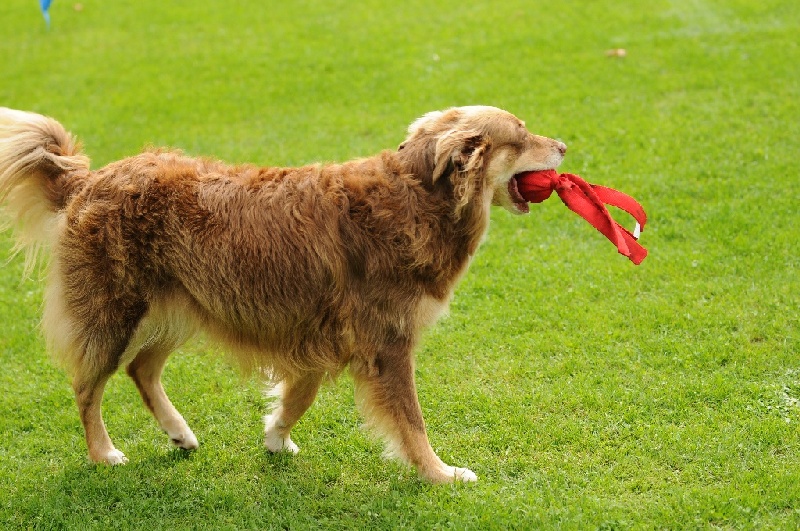 Image 644 of 855  -  281 kB