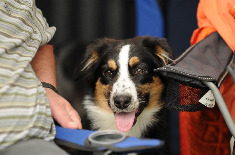 Image 645 of 855  -  204 kB