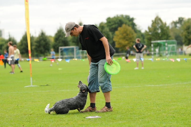 Image 646 of 855  -  204 kB