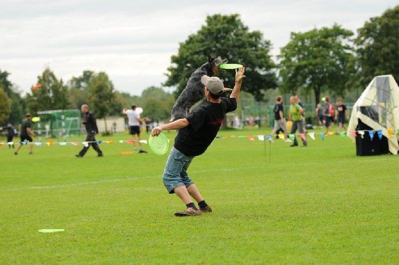 Image 647 of 855  -  222 kB